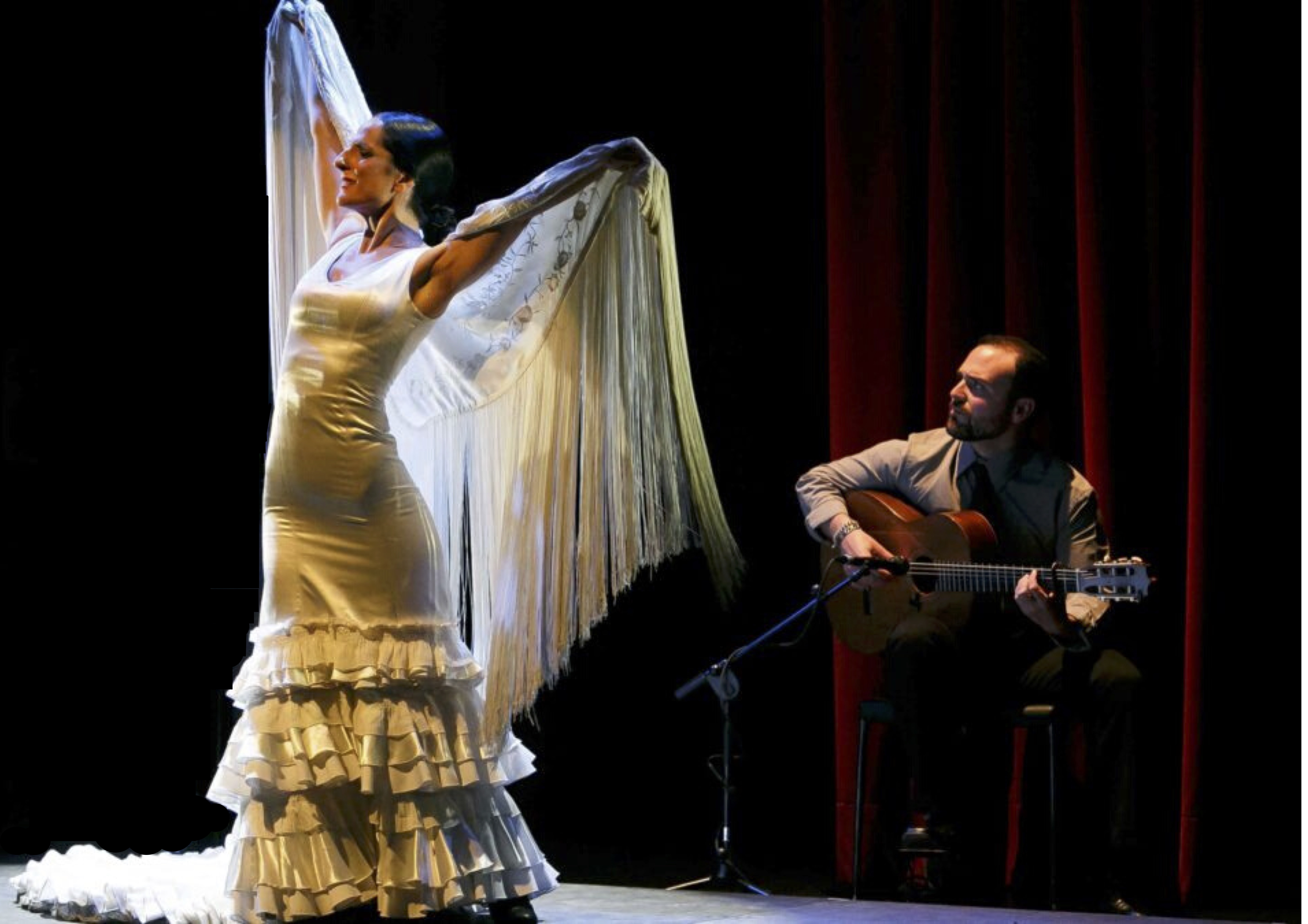 Flamenco dancer performing 